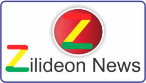 Zilideon News
