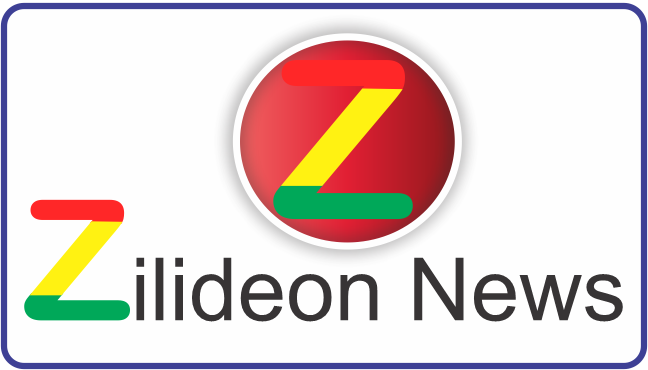 Zilideon News