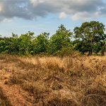 Land for sale at Klefe, photo 1