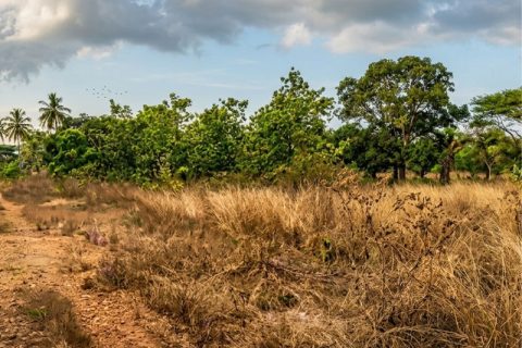 Land for sale at Klefe
