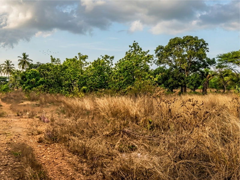 Land for sale at Klefe