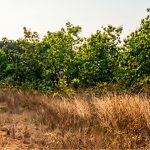 Land for sale at Klefe, photo 3