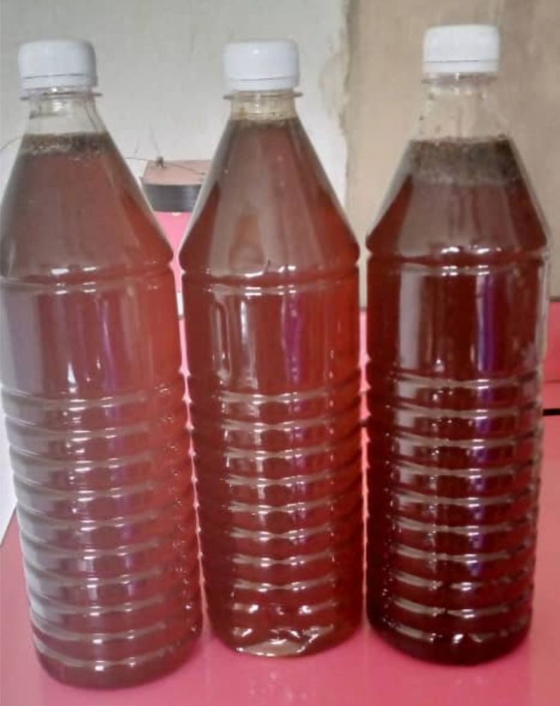 Natural bee honey 1 liter container
